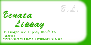 benata lippay business card